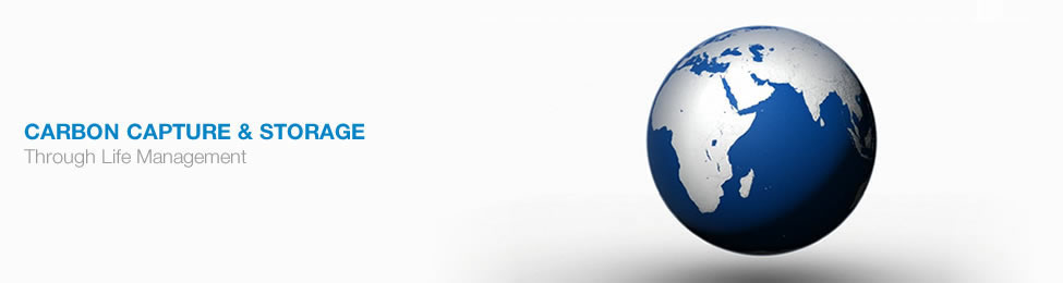 Main Banner