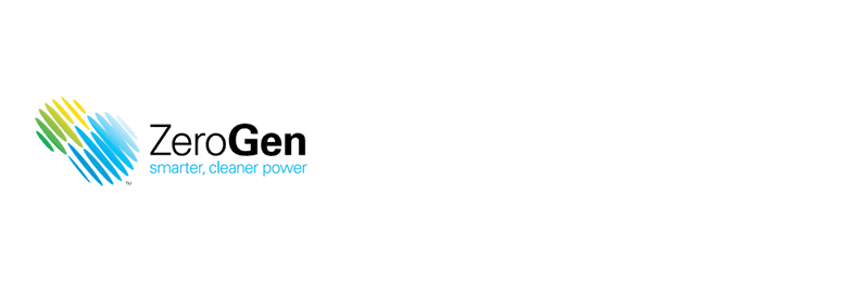 ZeroGen