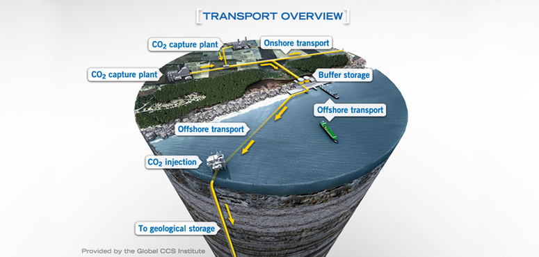 transport overview